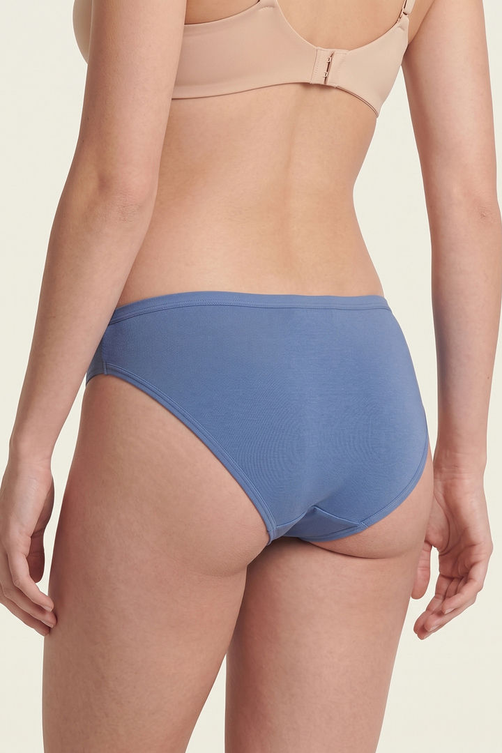 Zivame Regular Rise Full Coverage Bikini Panty (Pack of 3) - Multicolor — image 11